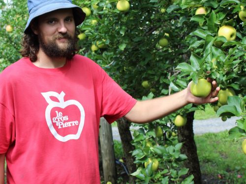 Tombé dans les pommes dès l&rsquo;enfance