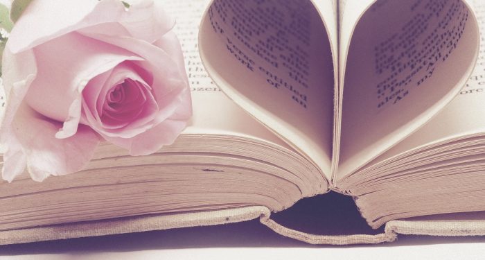 Mes coups de cœur romancés!