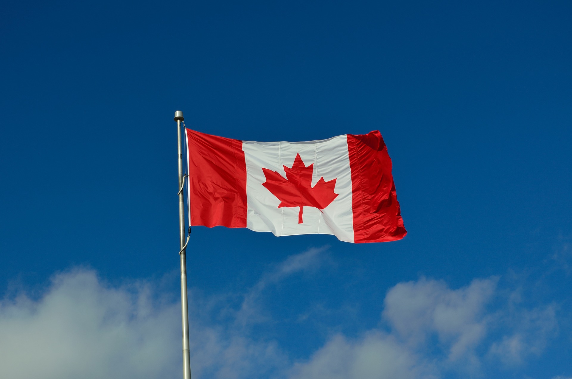 Cette feuille d'érable sur le drapeau canadien - L'écho de Compton