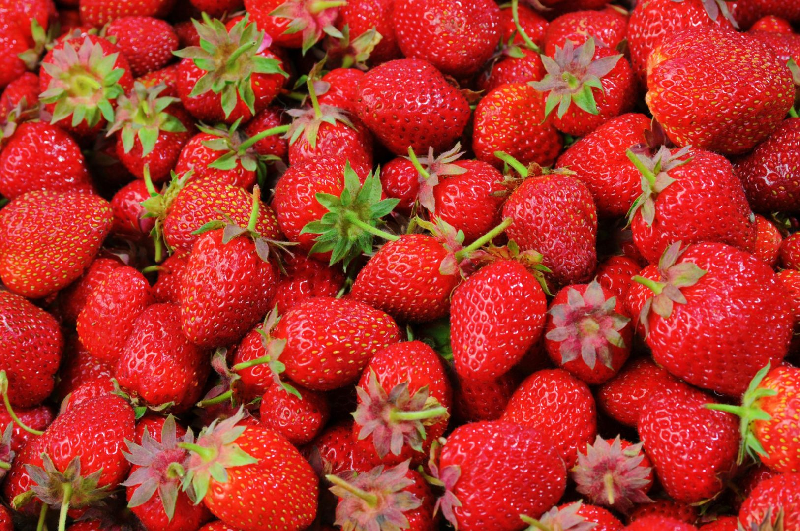 Photo de fraises fraîches et juteuses