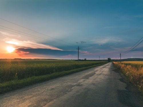 À propos de l’entretien printanier des chemins de campagne