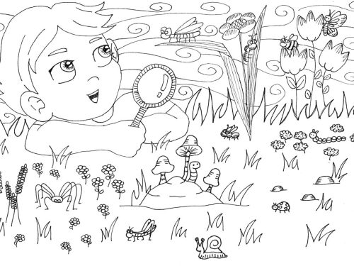 Cherche et trouve les petites bestioles!